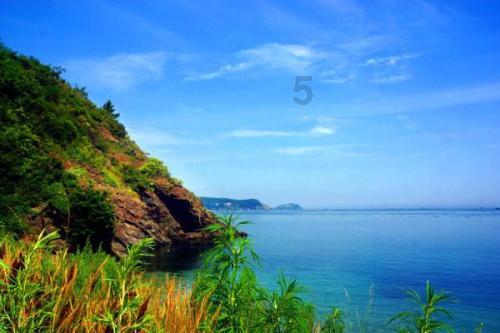 烟台业达医院开展 “世界防治麻风病日暨中国麻风节”宣传活动