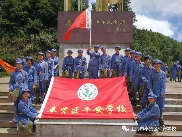 别苜参有什么功能游戏画面